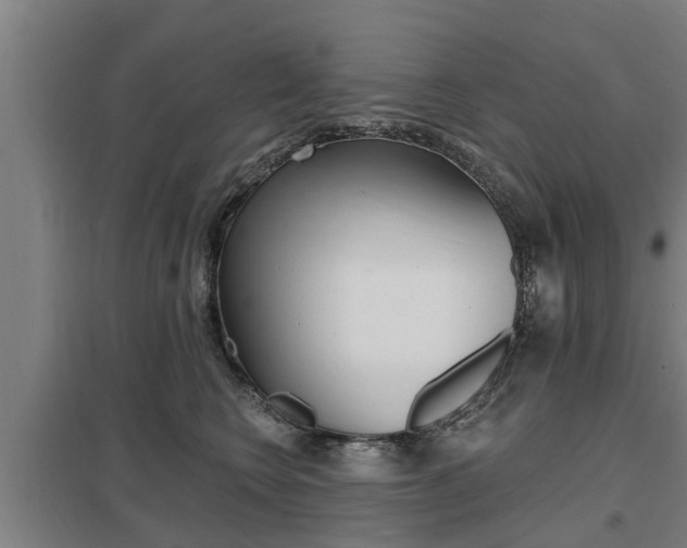 X0000098030566200803280734