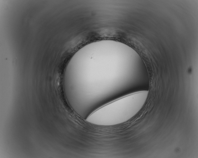 X0000098030567200803280734