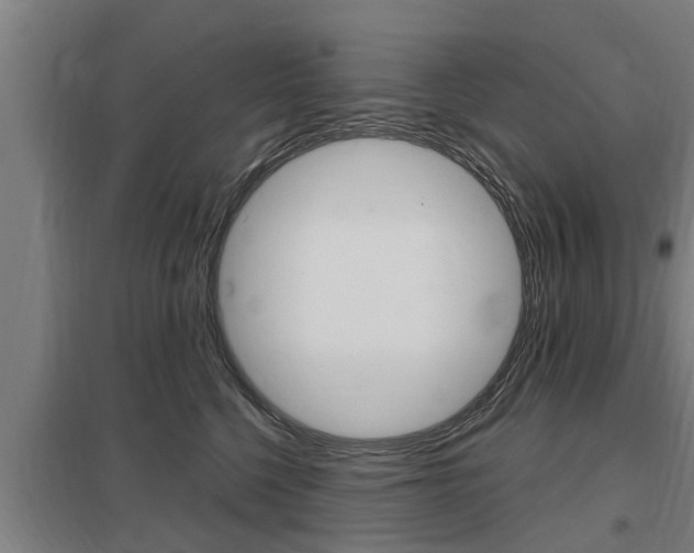 X0000098030568200803280734