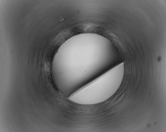 X0000098030571200803280734