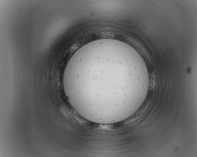 X0000098030573200803280734