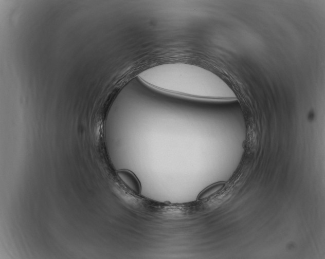 X0000098030574200803280734