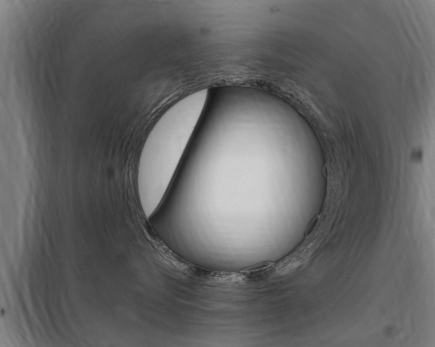 X0000098030576200803280734
