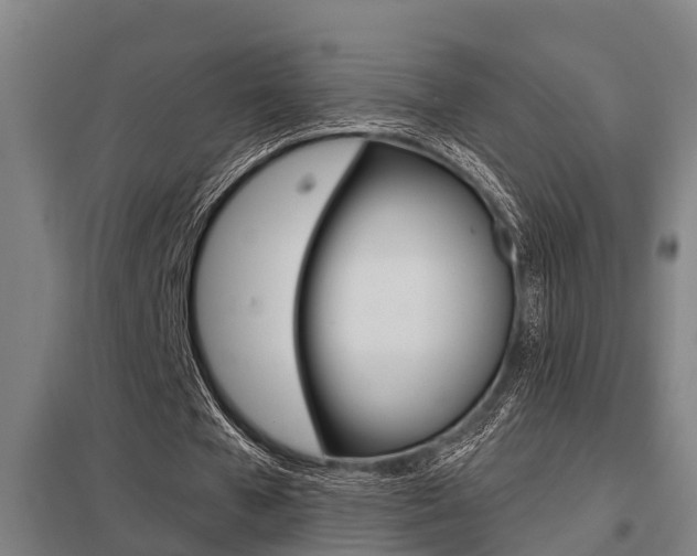 X0000098030577200803280733