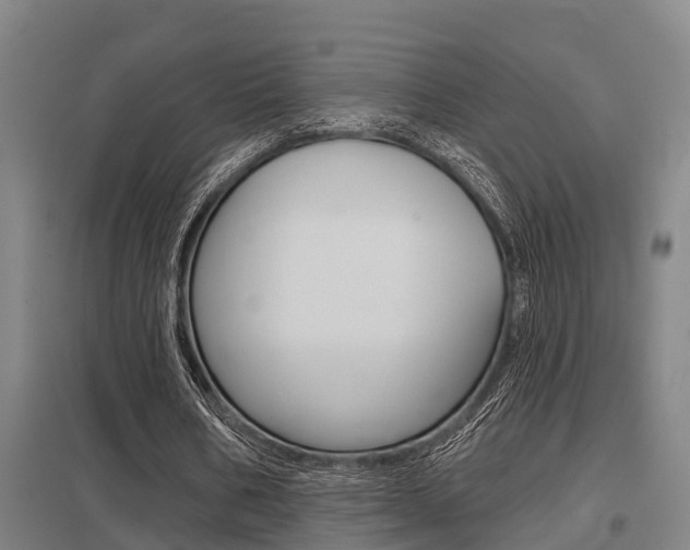 X0000098030578200803280733