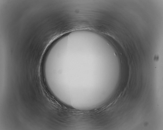 X0000098030579200803280733