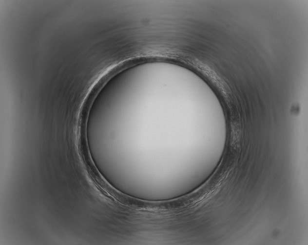 X0000098030580200803280733
