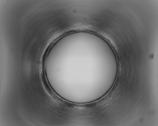 X0000098030582200803280733