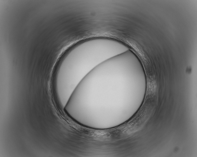 X0000098030583200803280733