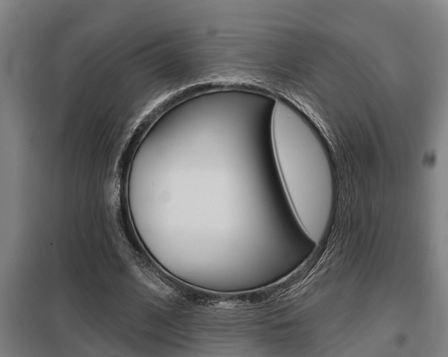 X0000098030584200803280733