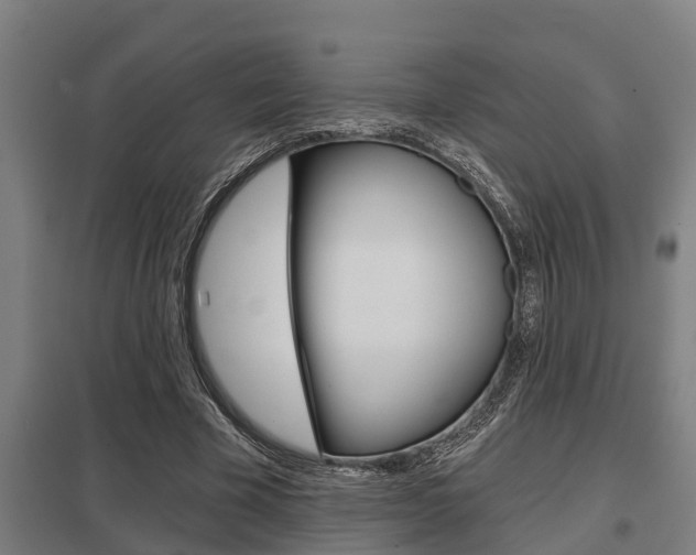 X0000098030585200803280733
