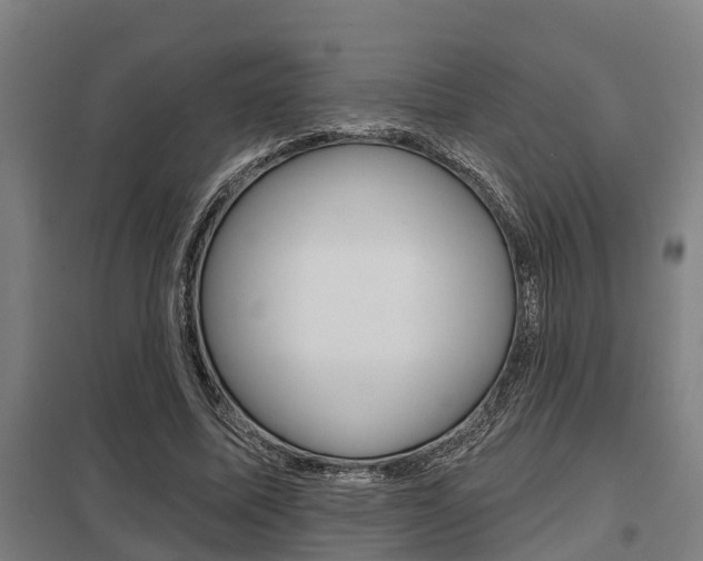 X0000098030587200803280733
