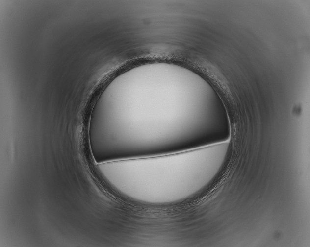 X0000098030588200803280733