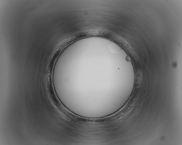 X0000098030590200803280733