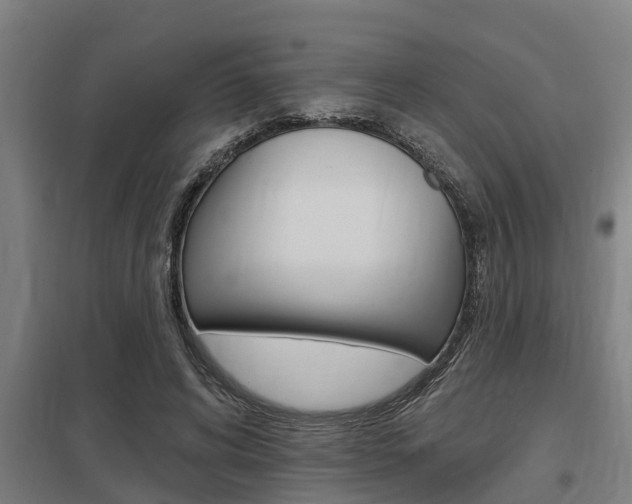 X0000098030592200803280733
