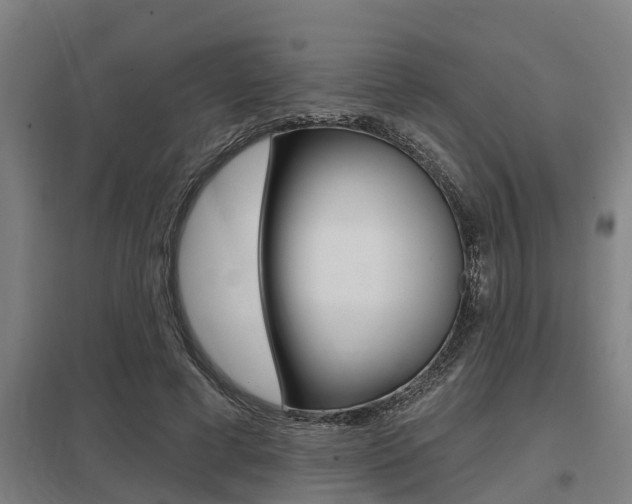 X0000098030593200803280733