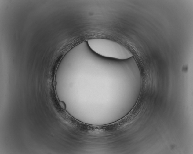 X0000098030594200803280733