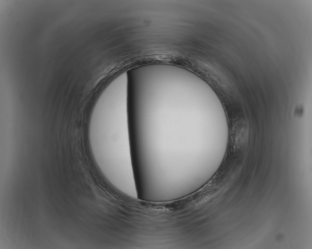 X0000098030595200803280733