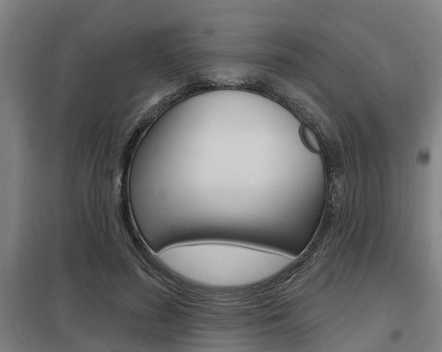 X0000098030596200803280733