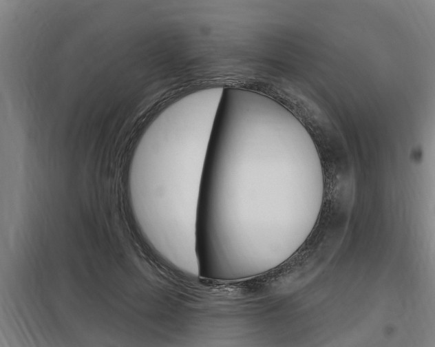 X0000098030599200803280733