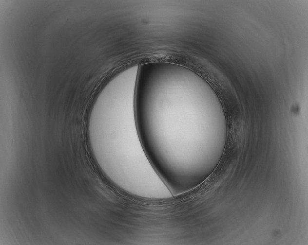 X0000098030601200803280733