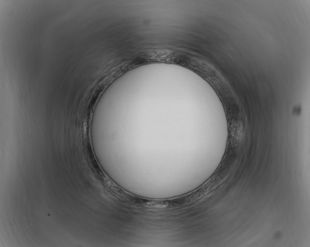 X0000098030602200803280733