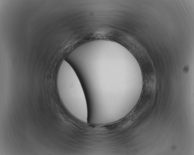 X0000098030603200803280733