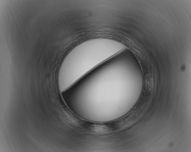 X0000098030605200803280733
