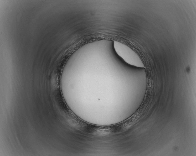 X0000098030606200803280733