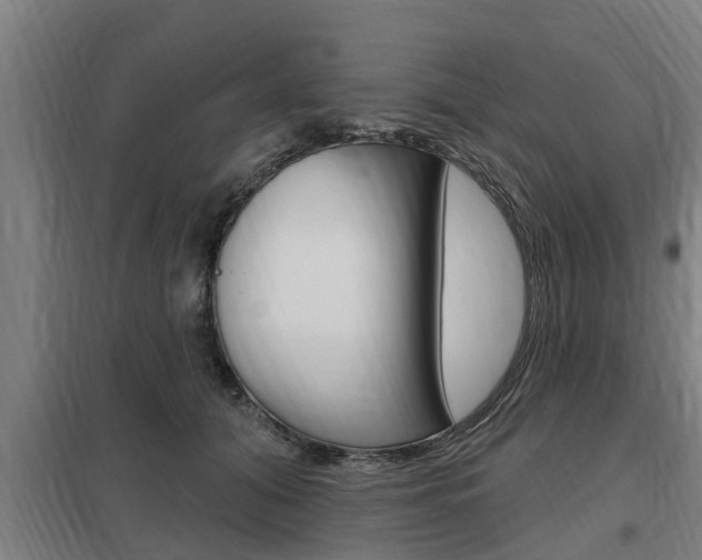 X0000098030608200803280733