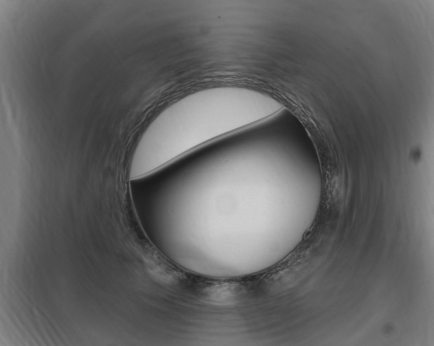 X0000098030609200803280733
