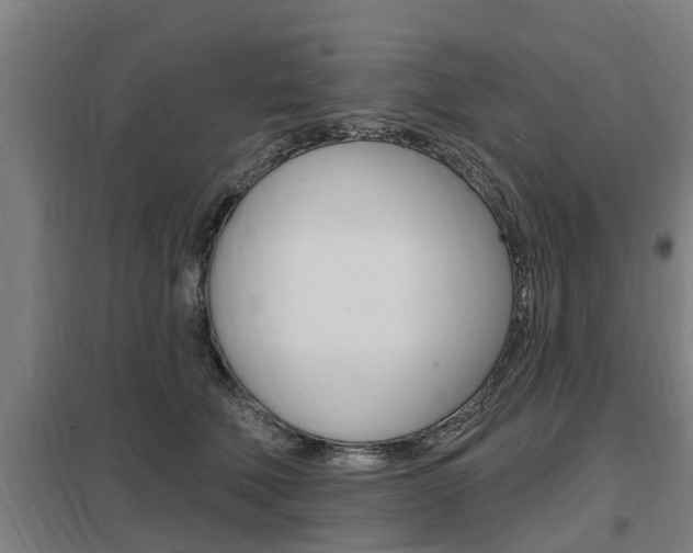 X0000098030610200803280733
