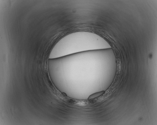 X0000098030611200803280733