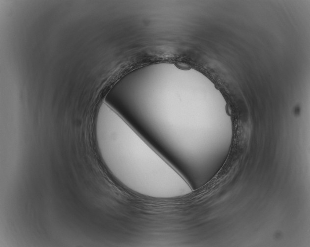 X0000098030612200803280733