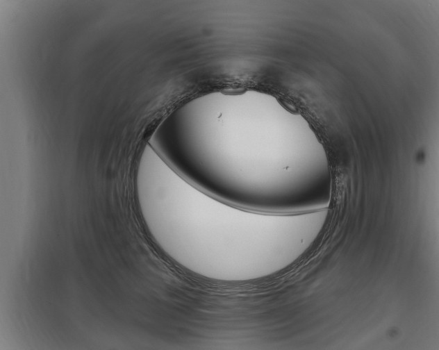 X0000098030613200803280732