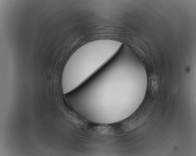 X0000098030615200803280732