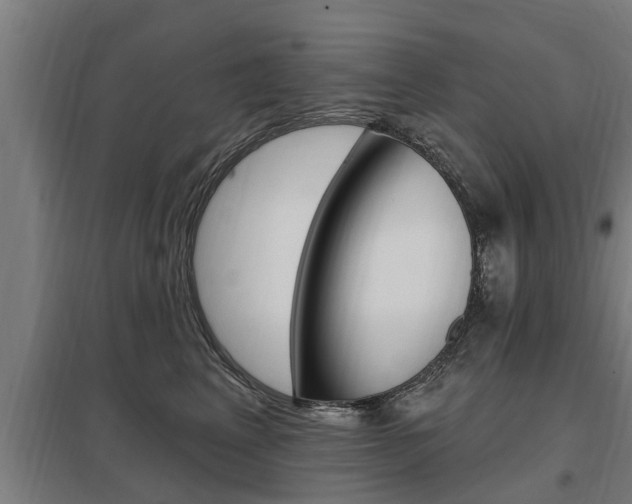X0000098030617200803280732