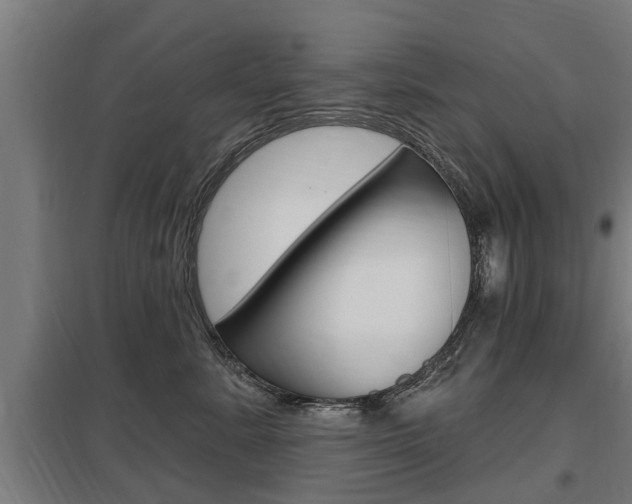 X0000098030619200803280732