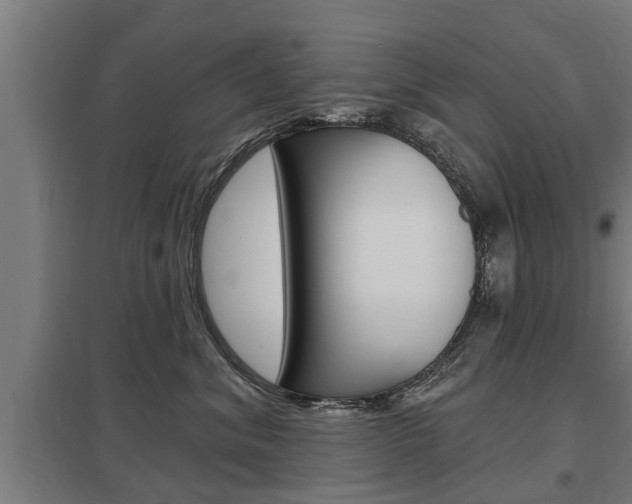 X0000098030620200803280732