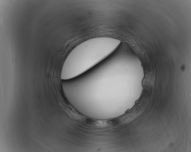 X0000098030623200803280732