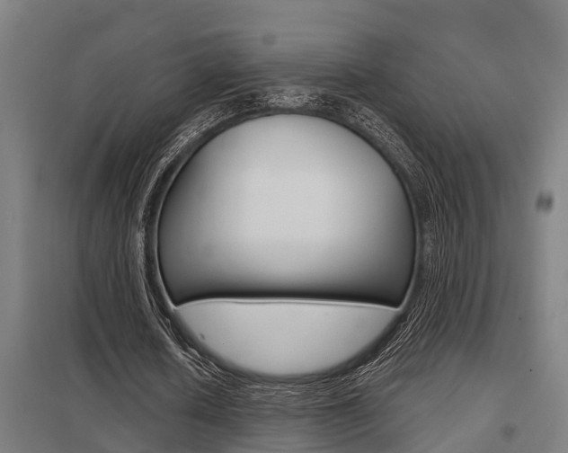 X0000098030626200803280732