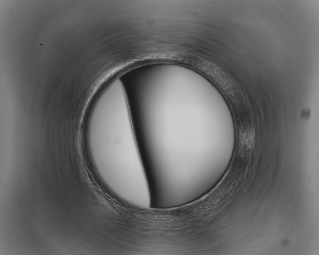 X0000098030628200803280732