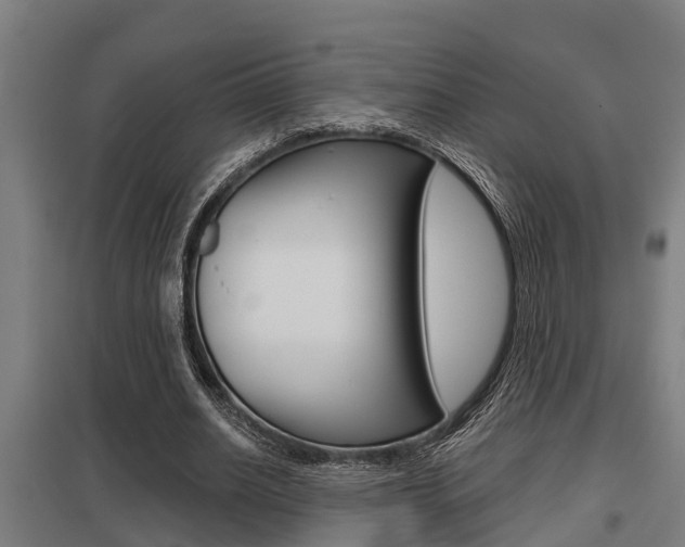 X0000098030630200803280732