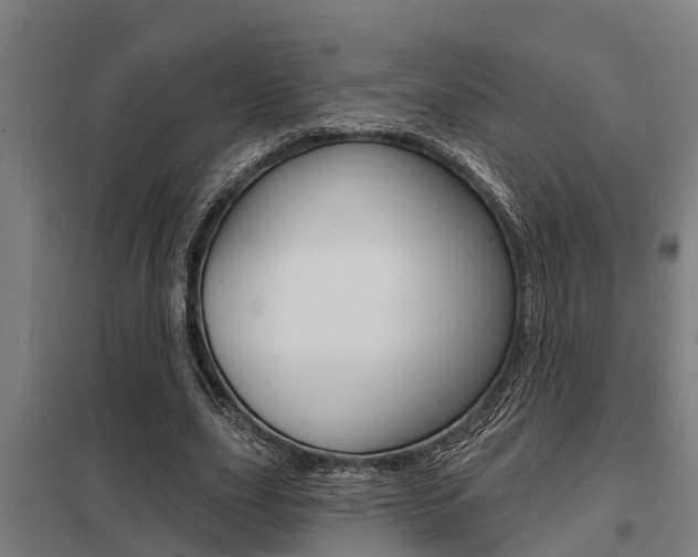 X0000098030631200803280732