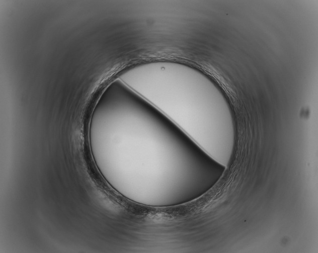 X0000098030634200803280732