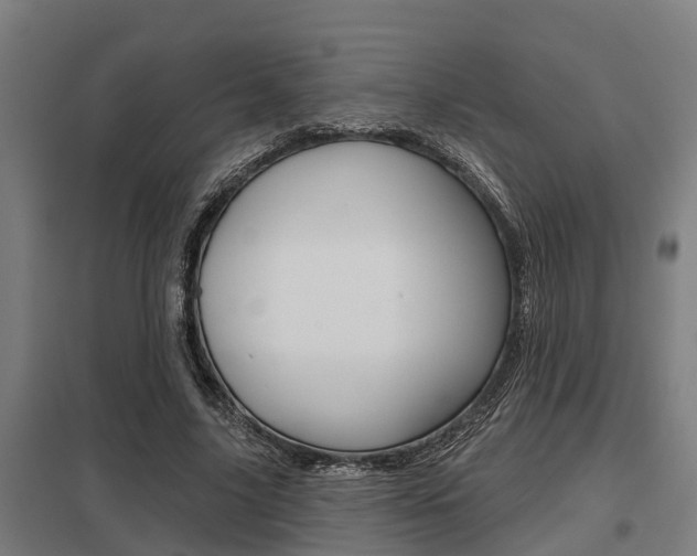 X0000098030635200803280732