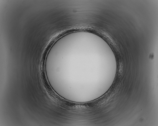 X0000098030636200803280732