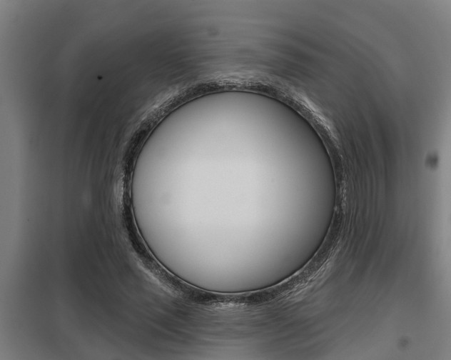 X0000098030637200803280732