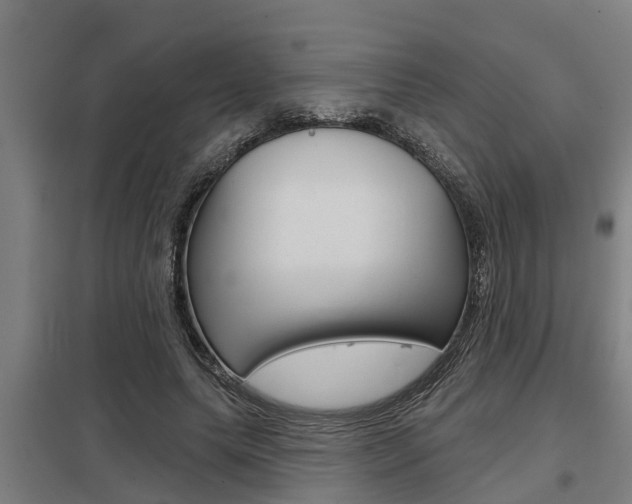 X0000098030639200803280732