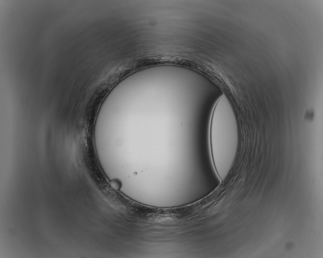 X0000098030643200803280732